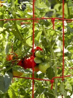 Tomato Cages, Set Of 4 -Grow Essentials Sales 34182 592