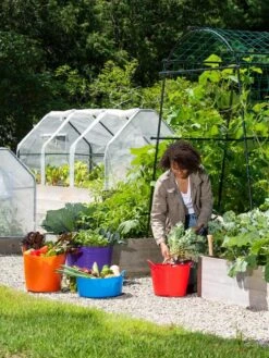 3-Season Plant Protection Tent, 3' X 6' 21 3-Season Plant Protection Tent, 3' X 6' -Grow Essentials Sales 35 592 0181 1