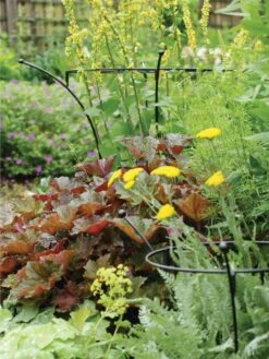 Essex Plant Supports -Grow Essentials Sales 37423 280 tif