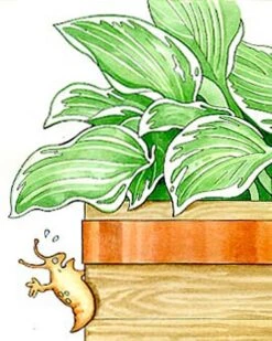 Copper Slug Tape -Grow Essentials Sales 38 994 b