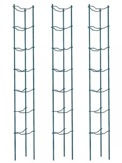 Tomato Ladders, Set Of 3 -Grow Essentials Sales 38184 002E psd