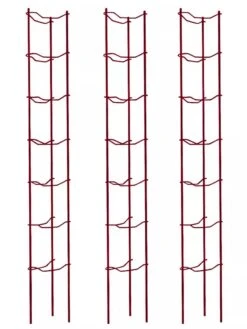 Tomato Ladders, Set Of 3 -Grow Essentials Sales 38185 002E psd
