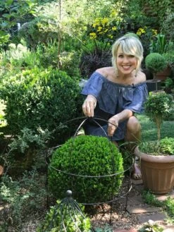 Jardin Bird Cage Support, 26" -Grow Essentials Sales 39 520 02IN tif