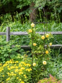 Jardin Round Obelisk, 7' -Grow Essentials Sales 39 530 1668 tif