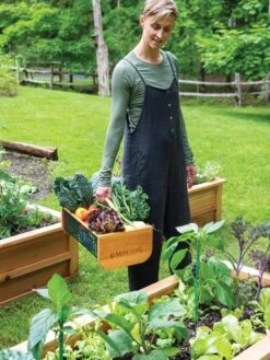 Garden Hods -Grow Essentials Sales 39 761 0146 tif