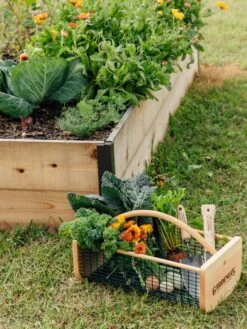 Garden Hods -Grow Essentials Sales 39 761 572 tif