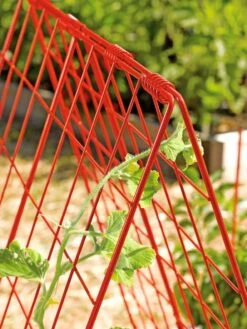 Deluxe Cucumber Trellis -Grow Essentials Sales 39806 542 tif
