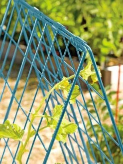 Deluxe Cucumber Trellis -Grow Essentials Sales 39806 BLUE 100 tif