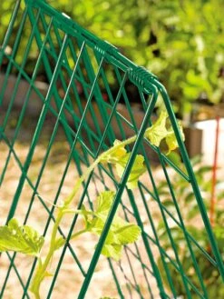 Deluxe Cucumber Trellis -Grow Essentials Sales 39806 GR edit tif