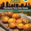 Tomato, Thornburns Terra Cotta Organic Seeds