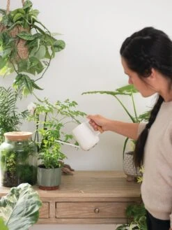 Pinpoint Indoor Watering Can -Grow Essentials Sales 3 4 crop 8612963 3774