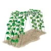 Over The Top Cucumber And Squash Trellis -Grow Essentials Sales 3 4 crop 8613058 art over the top cucumber and squash trellis