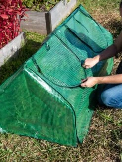 Multi Cloche 14 Multi Cloche -Grow Essentials Sales 3 4 crop 8613213 0250