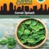 Corvair Spinach Organic Seeds -Grow Essentials Sales 3 4 crop 8613868 06842 Spinach Corvair SDSC