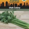 Celery, Utah Organic Seeds -Grow Essentials Sales 3 4 crop 88854 8613558 Celery Utah SDSC