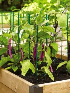 Pepper And Eggplant Stakes, Set Of 3 -Grow Essentials Sales 40308 2116 tif