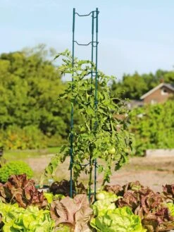 Stacking Tomato Ladders, Set Of 6 -Grow Essentials Sales 40309 100 tif
