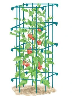 Tomato Cage, Single -Grow Essentials Sales 8587039 TomatoCage BLUE tif