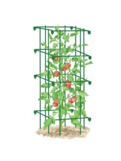 Tomato Cage, Single -Grow Essentials Sales 8587039 TomatoCage GRN tif