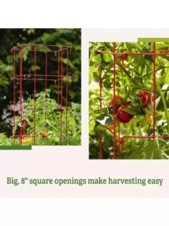Tomato Cages, Set Of 4 -Grow Essentials Sales 8587040 2