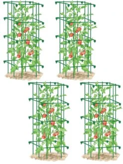 Tomato Cages, Set Of 4 -Grow Essentials Sales 8587040 GR 001E tif
