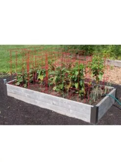 Pepper And Eggplant Cages, Set Of 3 -Grow Essentials Sales 8587048 6008 3 4