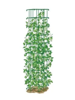 Bean Tower -Grow Essentials Sales 8587060 0008 GRN tif