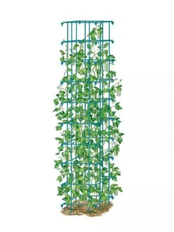 Bean Tower -Grow Essentials Sales 8587060 BeanTower BLUE