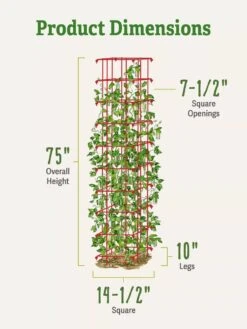 Bean Tower -Grow Essentials Sales 8587060 dimensions