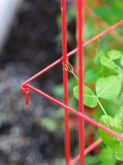 Tall Expandable Pea Trellis -Grow Essentials Sales 8587061 010 tif