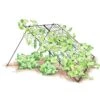 Large Cucumber Trellis -Grow Essentials Sales 8587082 CukeTrellis L Blk 001E tif