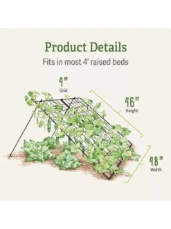 Large Cucumber Trellis -Grow Essentials Sales 8587082 dimensions