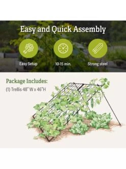 Large Cucumber Trellis -Grow Essentials Sales 8587082 product details