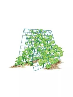 Deluxe Cucumber Trellis -Grow Essentials Sales 8587083 001 BLUE Cukes two sided deluxe cucumber trellis support storm blue 3 4