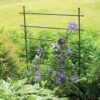 Jardin Ladder Trellis -Grow Essentials Sales 8587107 1651 tif