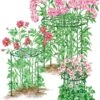 Grow Through Supports, Set Of 3 -Grow Essentials Sales 8587111RS 001E 1