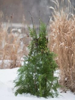 Jardin Pot Trellis -Grow Essentials Sales 8587120 009 tif