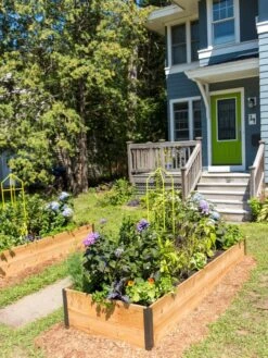 Zenith Folding Garden Supports, Set Of 2 -Grow Essentials Sales 8587807 0801 tif