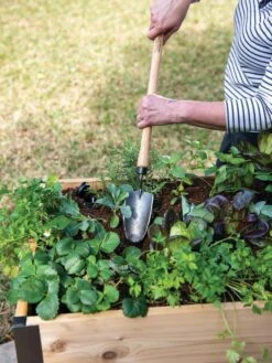 Gardener's Lifetime Raised Bed Trowel -Grow Essentials Sales 8588014 4084 tif