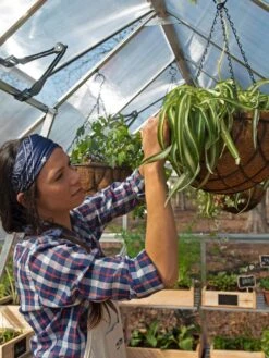 Canopia® By Palram Balance Greenhouse, 8' X 12' -Grow Essentials Sales 8588023 07V jpg