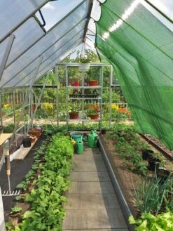 Canopia® By Palram Balance Greenhouse, 8' X 12' -Grow Essentials Sales 8588023 10V jpg