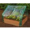Extendable Cold Frame Greenhouse -Grow Essentials Sales 8588247 03V extendable cold frame greenhouse