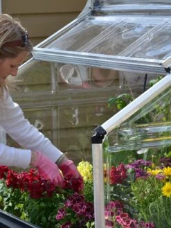 Canopia® By Palram Plant Inn™ Raised Bed Greenhouse, 4' X 4' -Grow Essentials Sales 8588308 04V tif