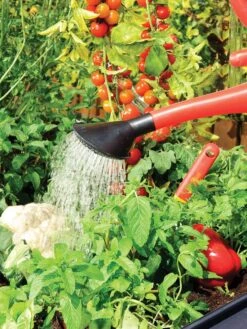 Canopia® By Palram Plant Inn™ Raised Bed Greenhouse, 4' X 4' -Grow Essentials Sales 8588308 06V tif