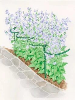 Tidy Path Supports -Grow Essentials Sales 8588403 003 1