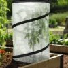 Pop-Up Tomato Accelerator 1 Pop-Up Tomato Accelerator -Grow Essentials Sales 8589749 4171 pop up tomato plant protector and accelerator tif
