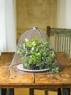 Chicken Wire Cloche -Grow Essentials Sales 8590210 1 tif