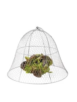 Chicken Wire Cloche -Grow Essentials Sales 8590210 675 tif