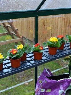 Canopia® By Palram Shelf Kit For Greenhouses, Set Of 2 Shelves 14 Canopia® By Palram Shelf Kit For Greenhouses, Set Of 2 Shelves -Grow Essentials Sales 8591033 09V jpg