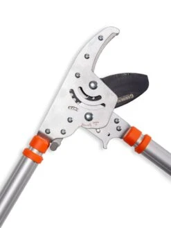 Telescoping Ratchet Loppers -Grow Essentials Sales 8591285 025 tif